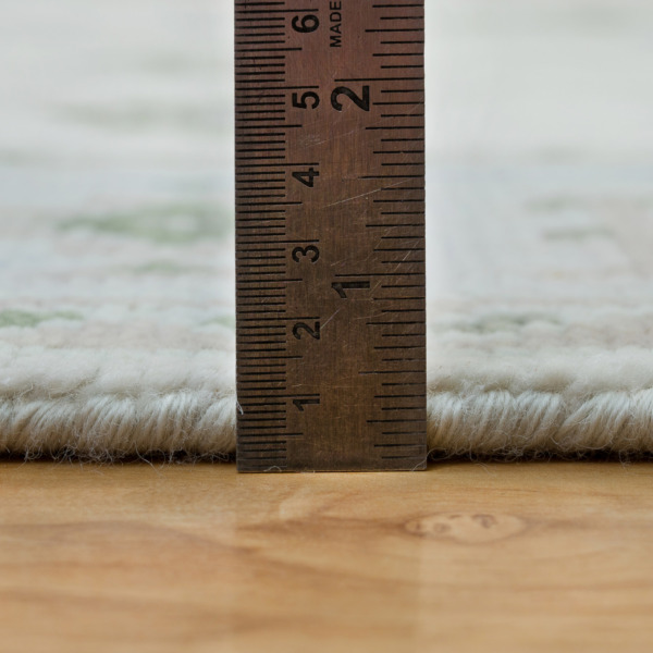 the praline-n-cream rug - Image 3