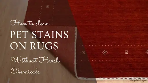 How to Clean Pet Stains on Carpet at Home?